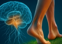 맨발 걷기 효능