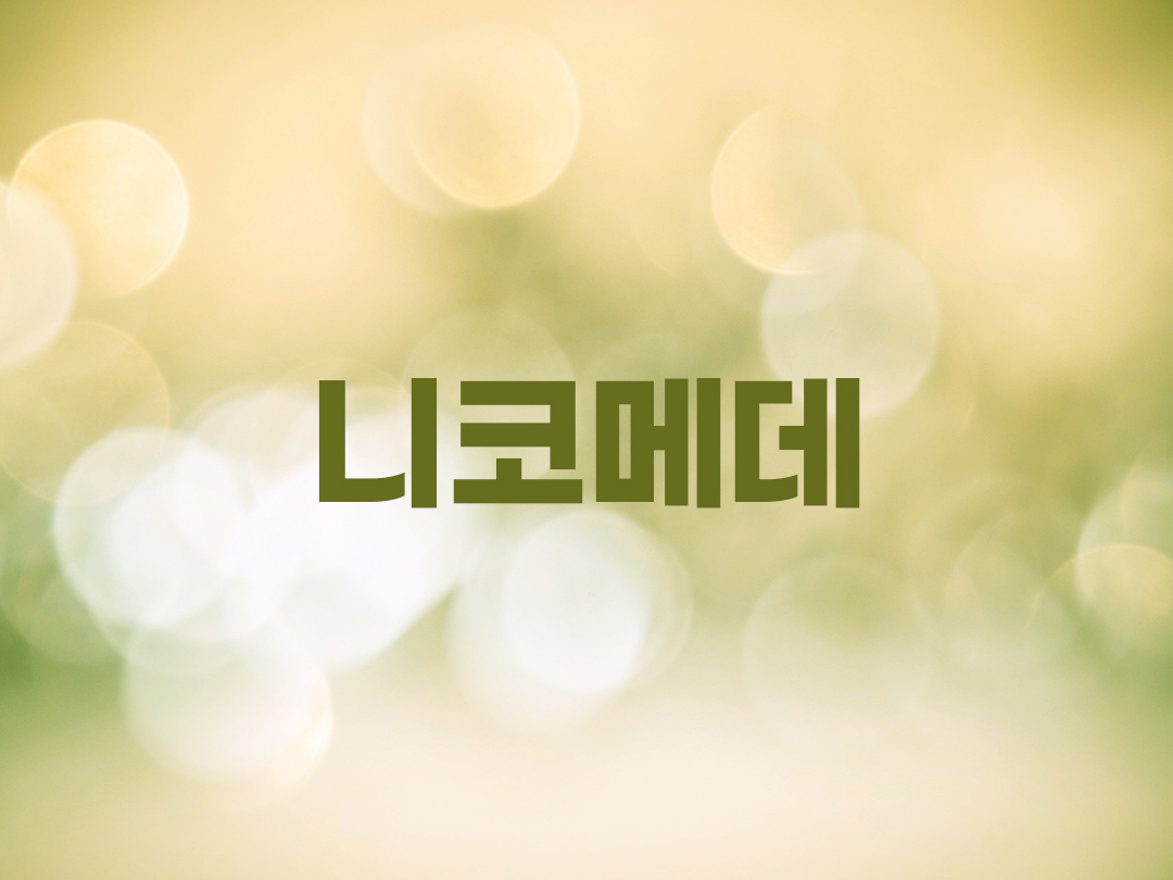 니코메데 천주교 남자세례명