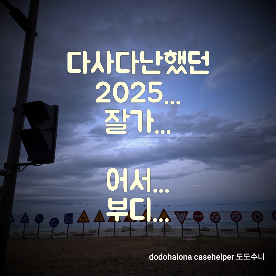 2025년을 보내며&amp;#44; 2026년을 맞이하는 기록