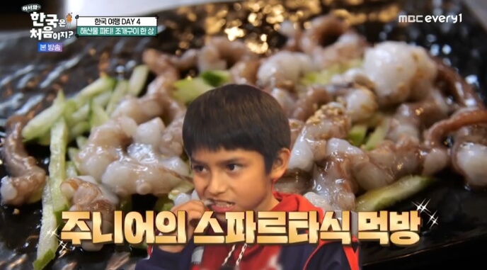 포르피주니어