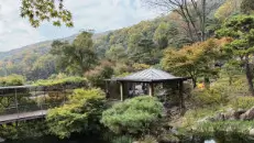 화담숲 사진 명소 시간대별 촬영 완벽 가이드