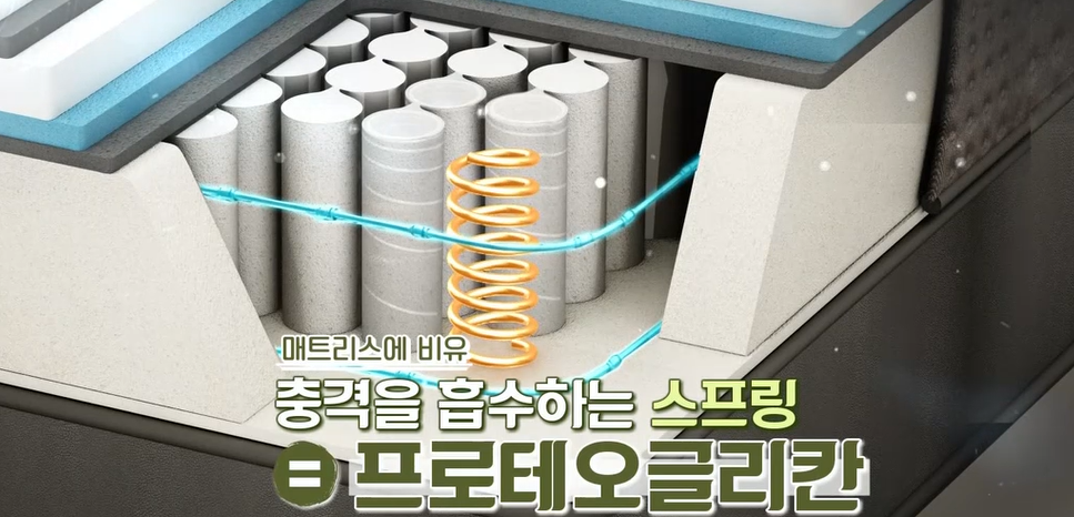 프로테오글리칸 효능 