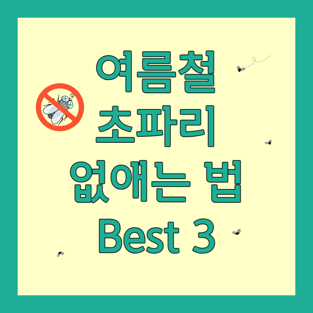 초파리를 없애는 법