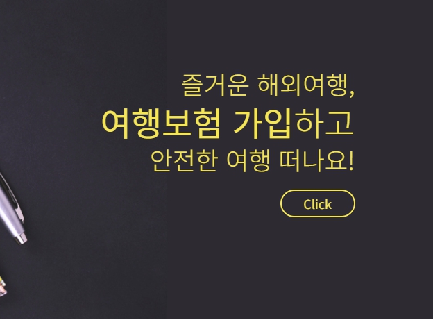 2024 여행자 보험