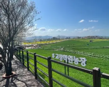 고창 청보리밭 축제_16