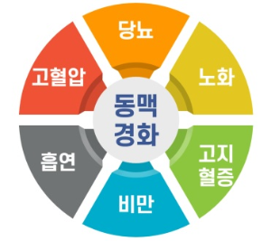 동맥경화원인