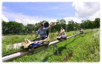 하이원 알파인코스터 