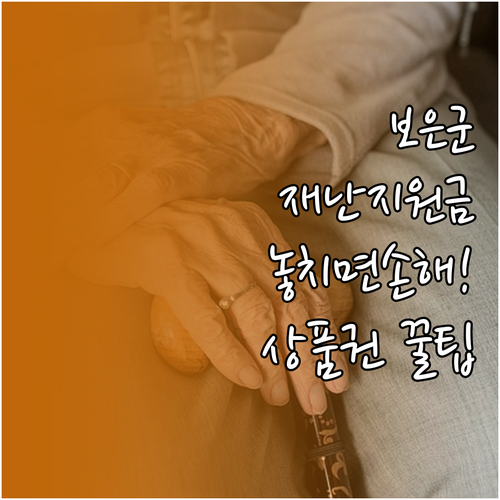 보은군 재난지원금 신청 자격과 결초보..
