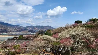 광양 가볼만한곳 추천 맛집 카페 실내 BEST 10_4