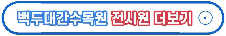 백두대간 봉자페스티벌