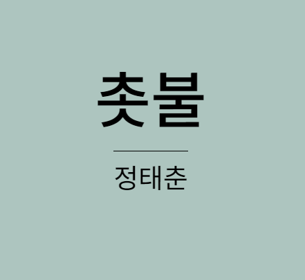 정태춘 촛불