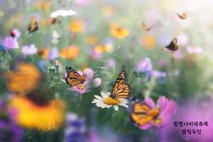 함평나비축제 예매 입장료 기간