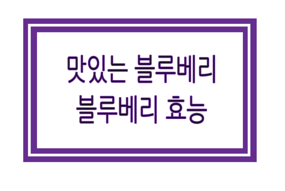 Alt 속성 문제 해결 설명 이미지
