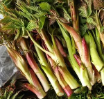 영월의 봄을 담은 '영특한 산채 꾸러미' 예약판매 시작!