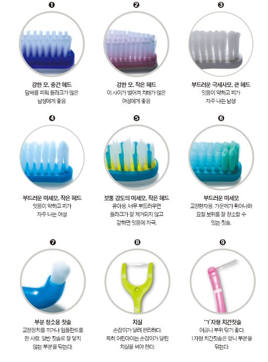 칫솔 고르는법 헤드 크기 비교 콤팩트형