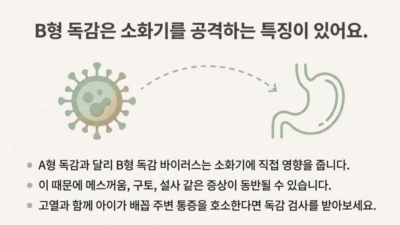 B형 독감 소화기 공격