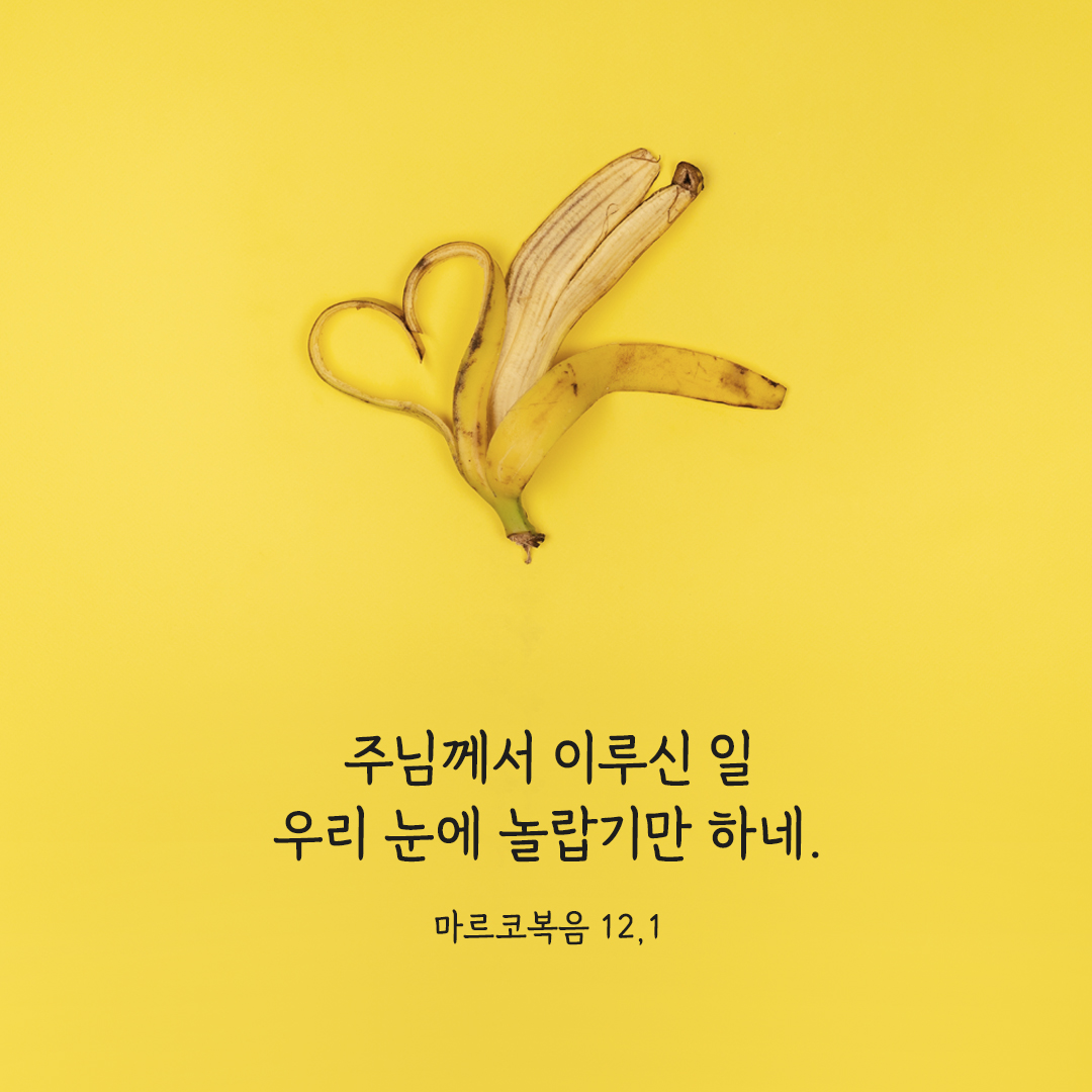 주님께서 이루신 일 우리 눈에 놀랍기만 하네. (마르코복음 12,11) 마르코복음 성경 말씀 카드 이미지 다운로드