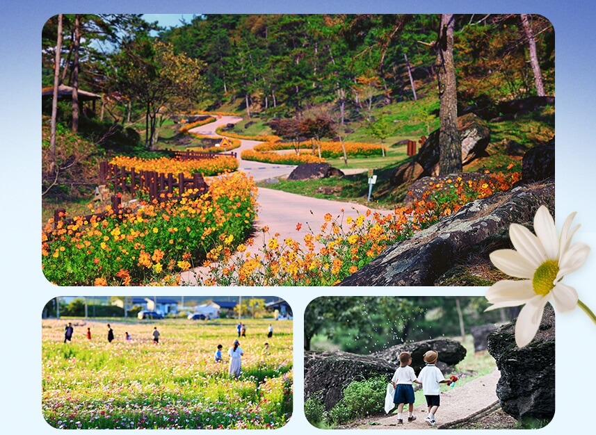 화순고인돌축제-현장-사진