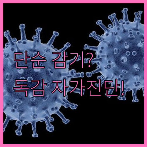 감기 비염 독감 자가 진단법과 병원 ..