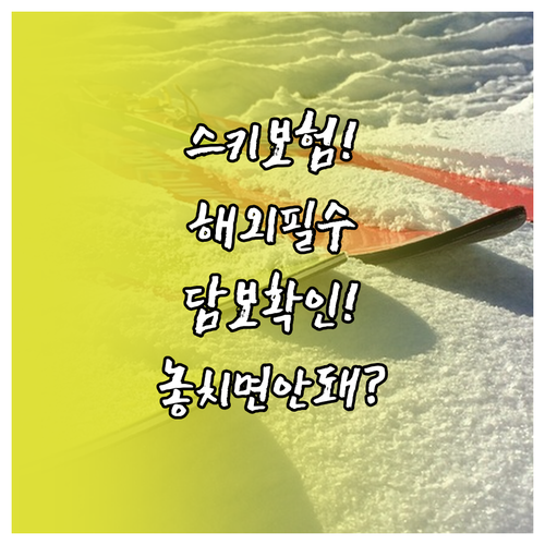 위험 활동 보장 해외여행자보험 스키 ..