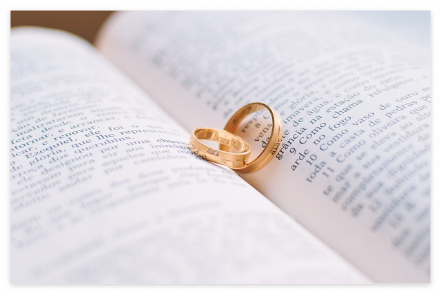 신지 결혼 문원 프로필