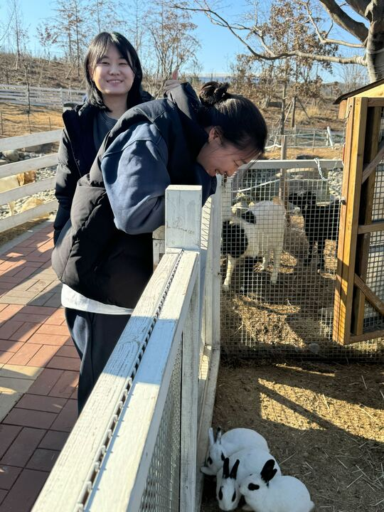 얼룩 토끼와 팀 미션 성공