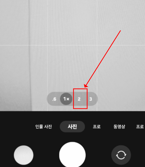 2배 크롭 줌 버튼