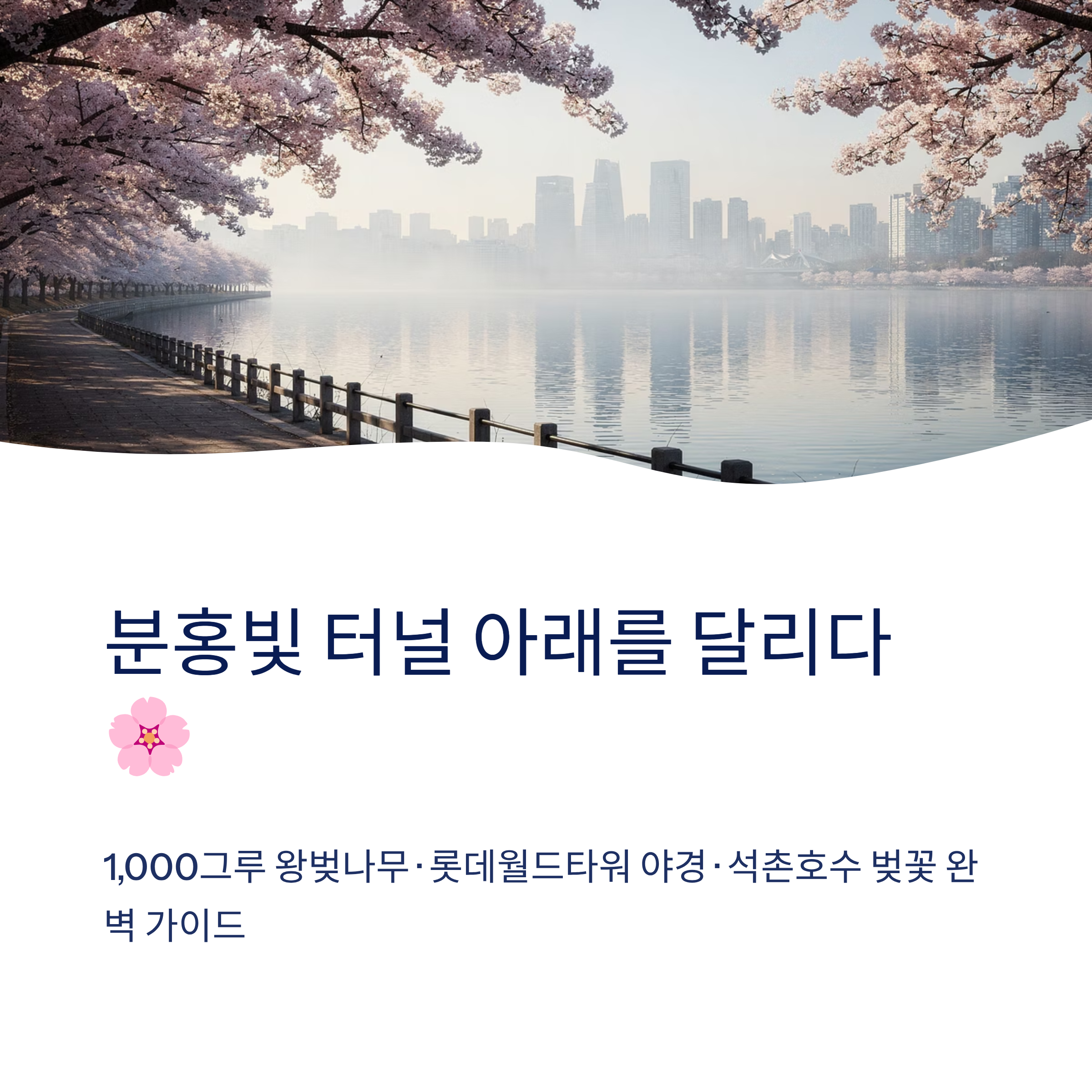 석촌호수 벚꽃 달리기 산책 코스 완벽 가이드❘2026 벚꽃축제·러닝·야경까지 총정리