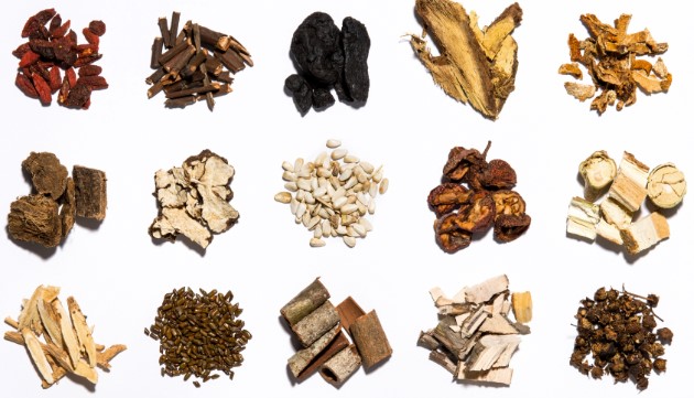 한방 다이어트 한약 성분