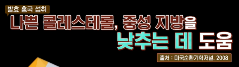 발효 홍국 효능