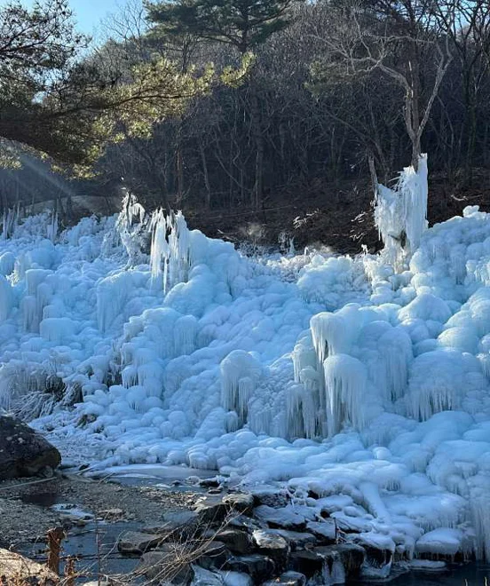 비슬산자연휴양림