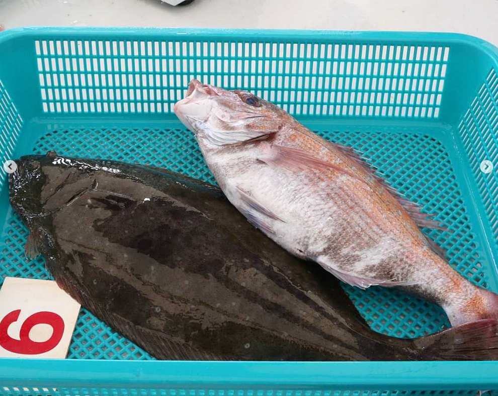 서천 자연산 광어 도미 축제 기본정보