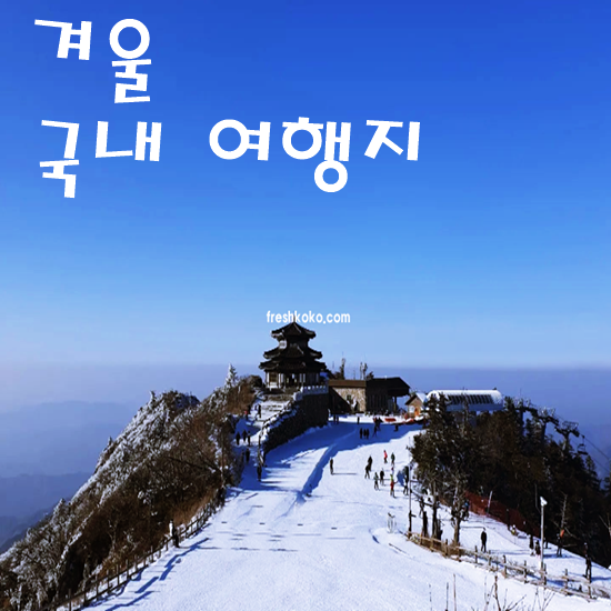 겨울에 가볼만한 국내 여행지 베스트10