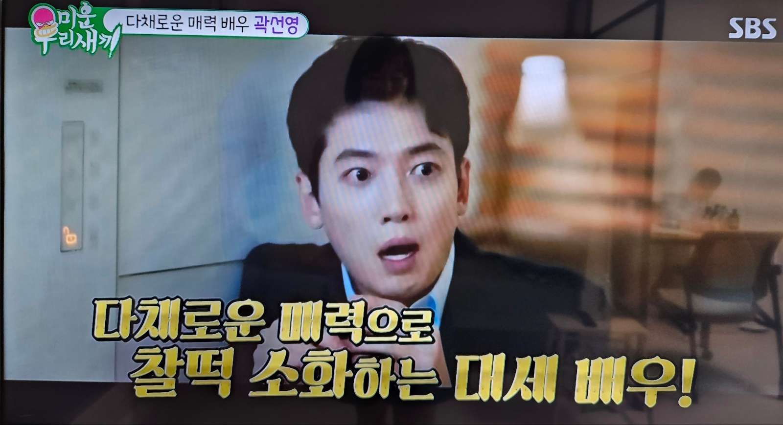 곽선영 프로필