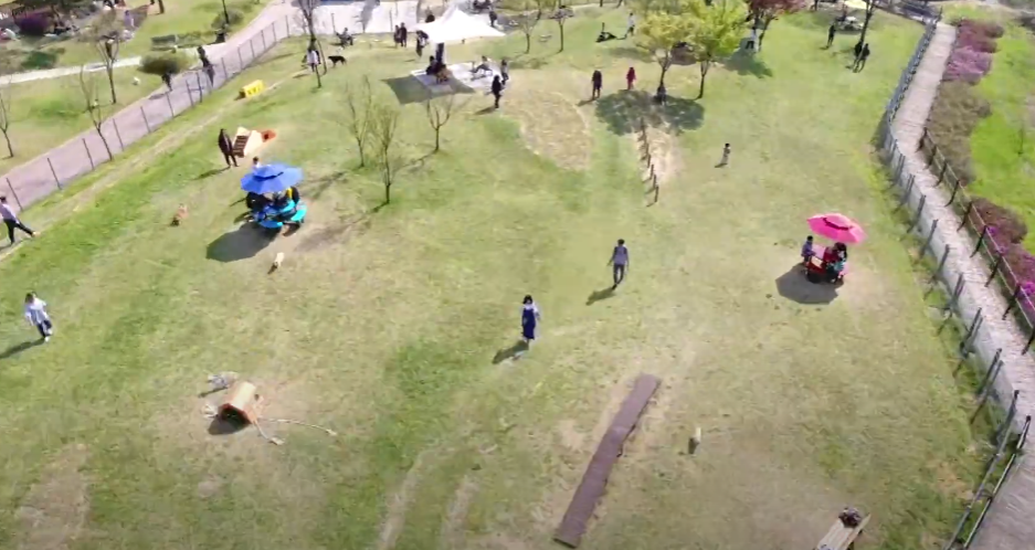 용인 반려견 놀이터