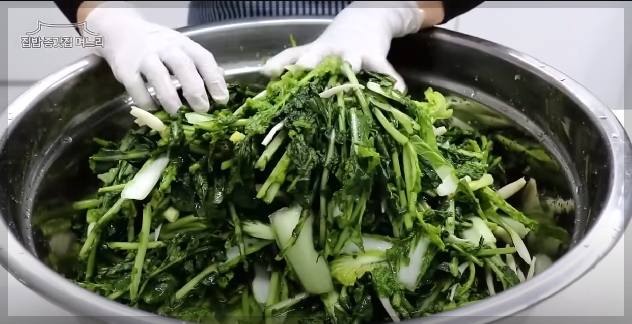 열무얼갈이김치 담그는법 열무김치 맛있게 담그기