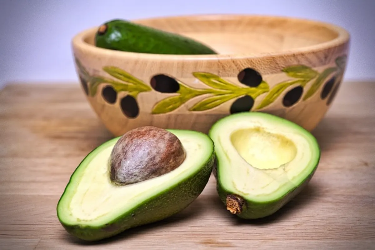 고양이가-먹으면-안-되는-위험한-음식-접시에-담긴-아보카도