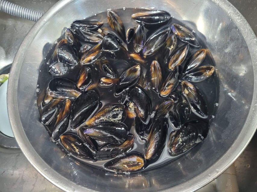 세척홍합 흐르는 물에 헹구는 모습