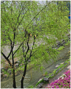 청계천