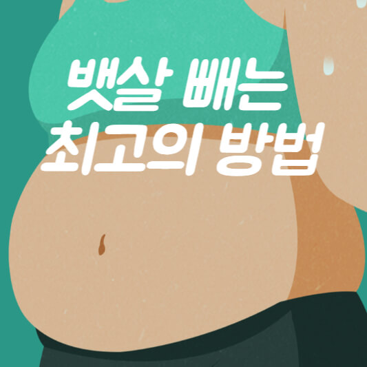 뱃살 빼는 최고의 방법