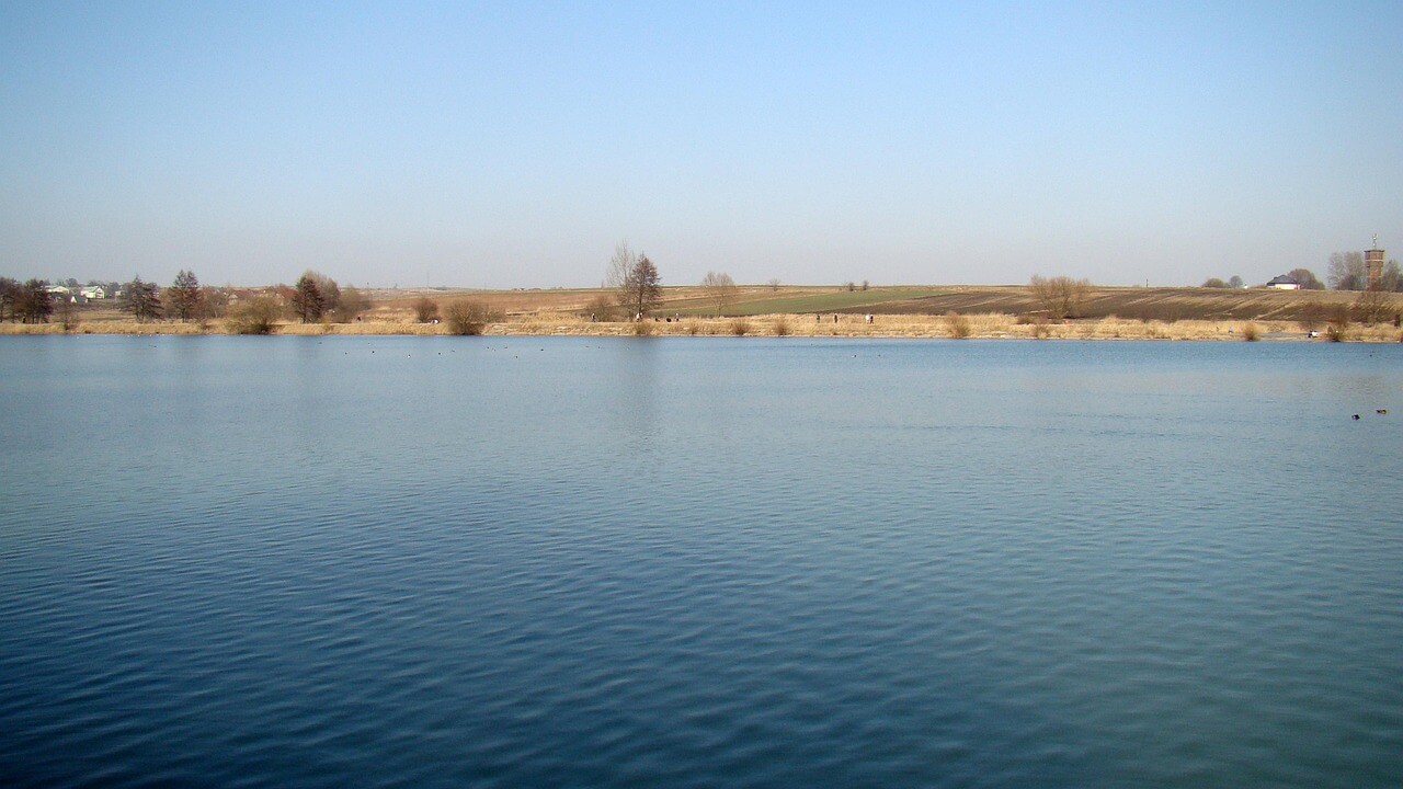 아무도 기다리지 않는 멸종된 뉴칼레도니아뜸부기, 그럼에도 누군가는 기록한다
