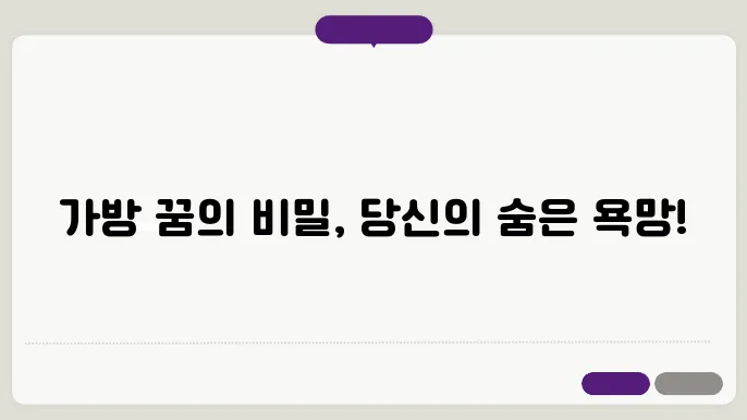 가방 꿈해몽