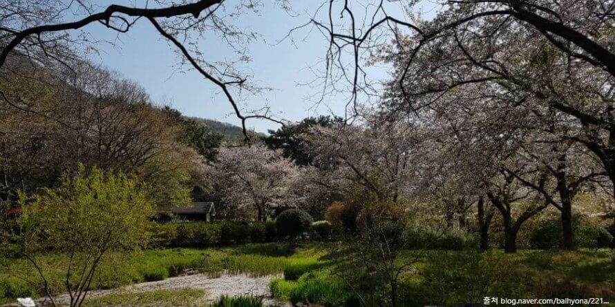내수면환경생태공원
