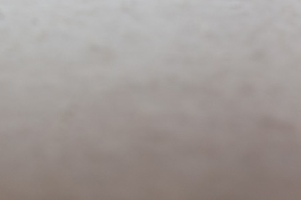 성적표 오류 정정