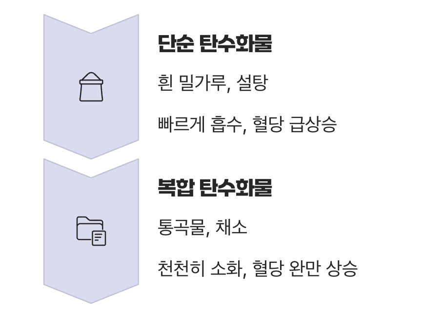 탄수화물의 종류, 속도의 차이