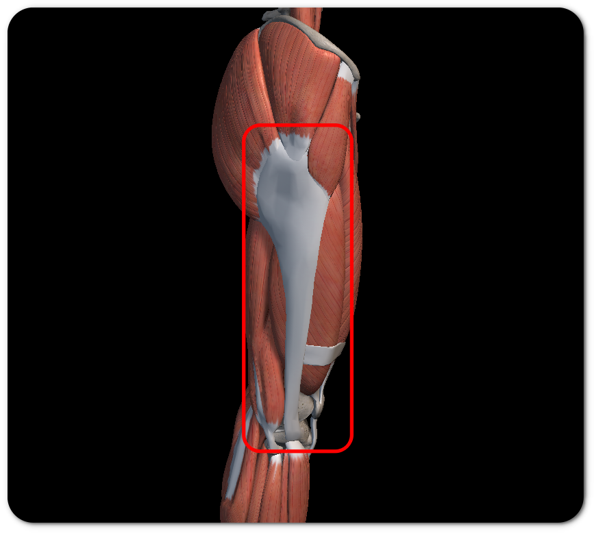 장경인대 증후군 원인 증상 치료법