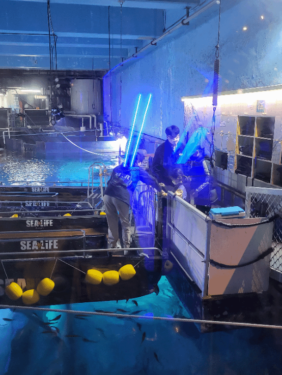 부산 아쿠아리움