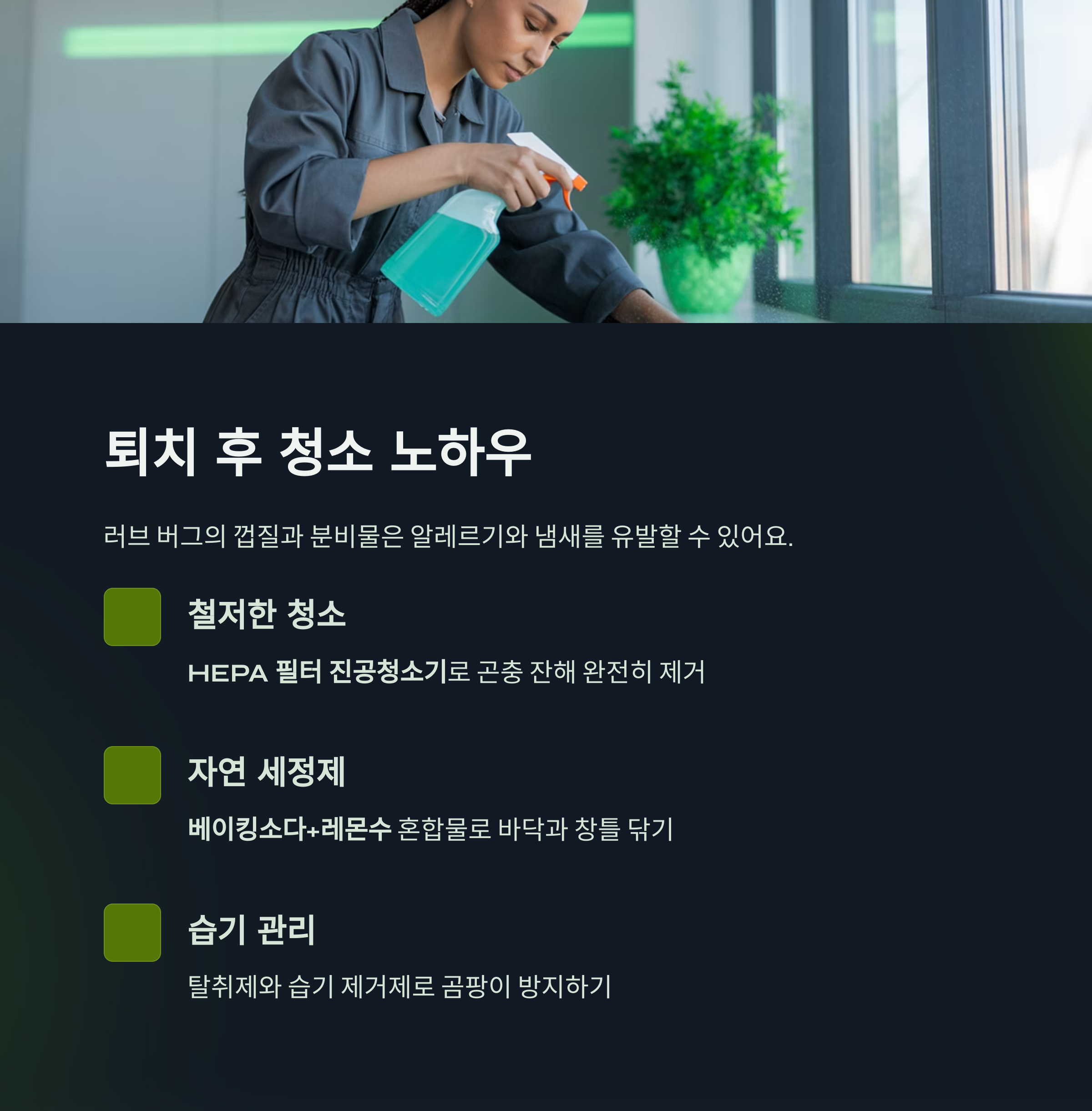 퇴치 이후 실내 청소 및 위생관리 팁