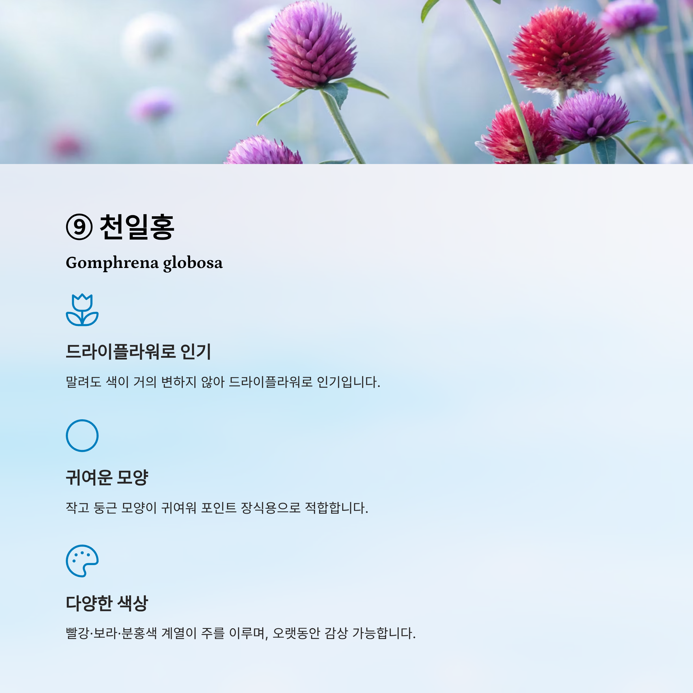 가을꽃 종류 알아보기