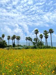 8월 제주도 가볼만한곳10곳